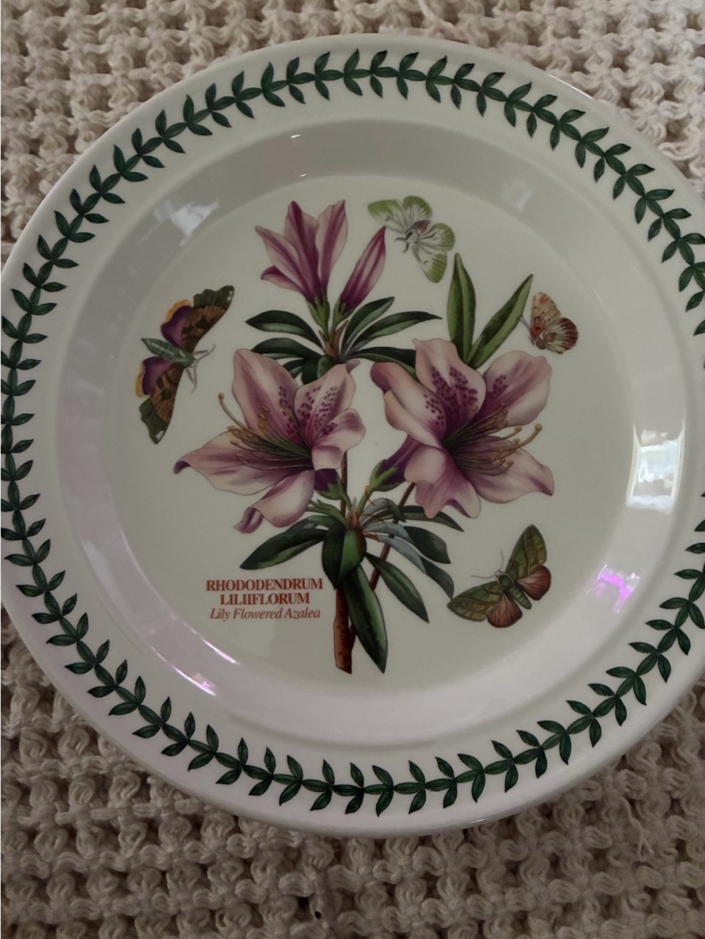 Portmeirion Botanic Garden Rhododendron Liliflorum 10.5" Dinner Plate
